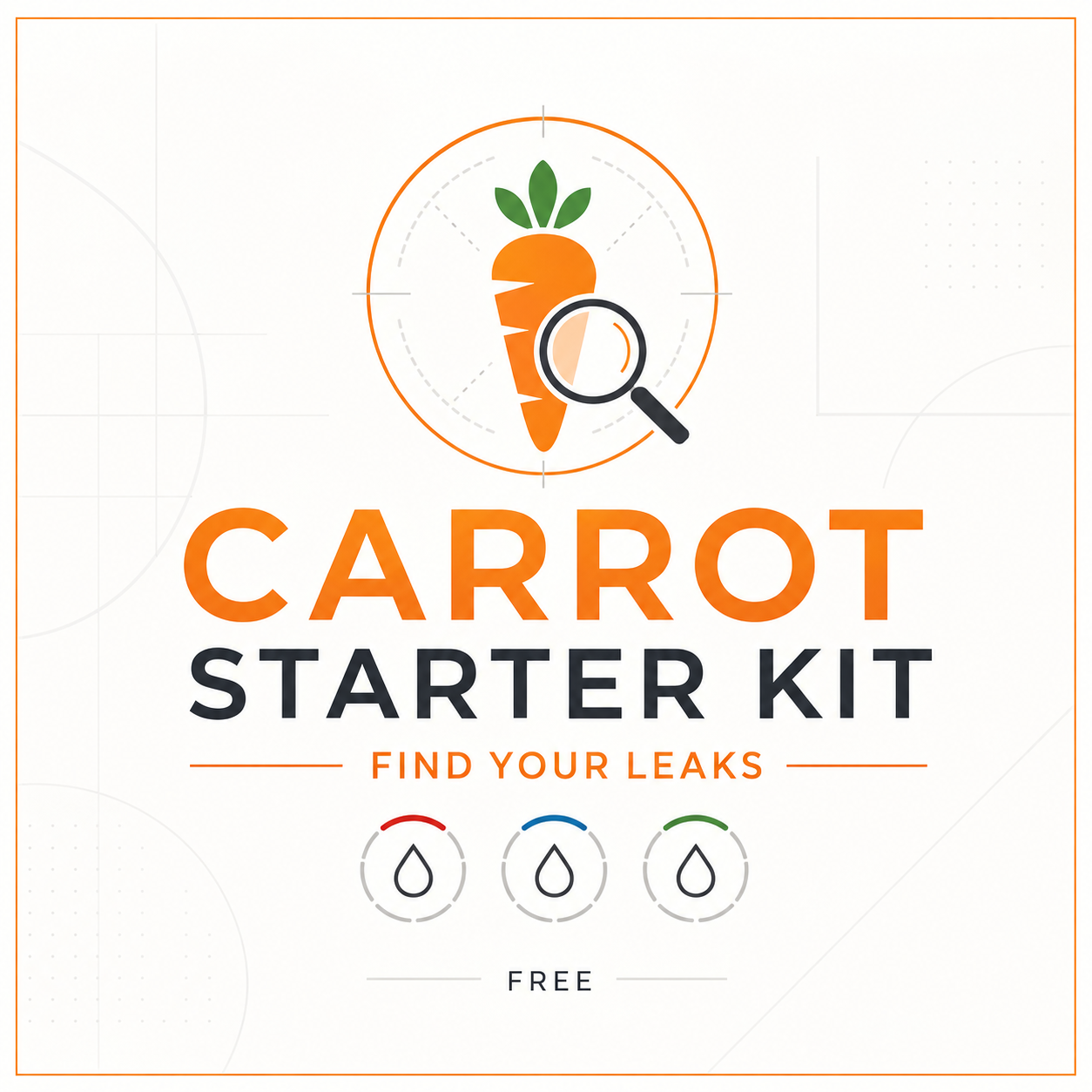Carrot Starter Kit - Find Your Leaks